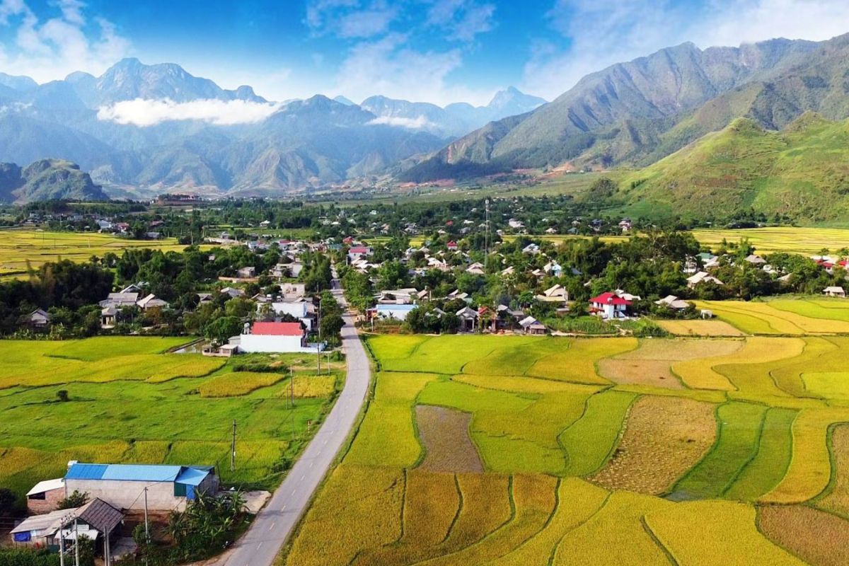 Mường Than Rice Fields Lai Chau 